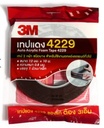 เทปโฟม ติดคิ้วรถ 12mm x 10m หนา 0.8mm 4229 3M