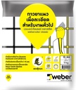 ยาแนว G-44 สีดำ WEBER