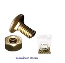 น็อตเหล็กฉาก 1/4"x1/2"(ชุบรุ้ง) หัวกลม  (แพค 40)