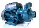 -ปั๊มหอยโข่ง ทรงหน้าหมู 0.5HP 1" QB60-L KAWA
