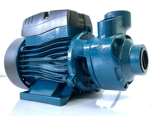 [1000324] -ปั๊มหอยโข่ง ทรงหน้าหมู 0.5HP 1" QB60-L KAWA